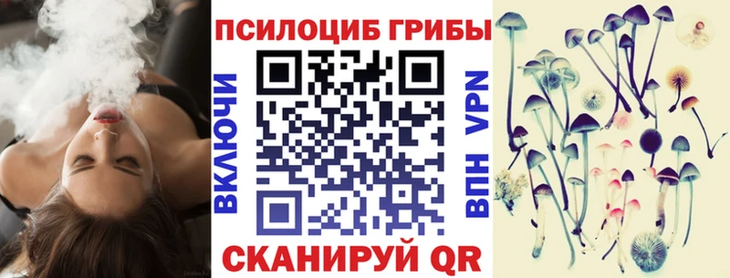 Псилоцибиновые грибы мицелий  Купить  Елабуга 
