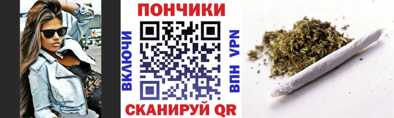Марихуана сатива  Купить закладки  Елабуга 